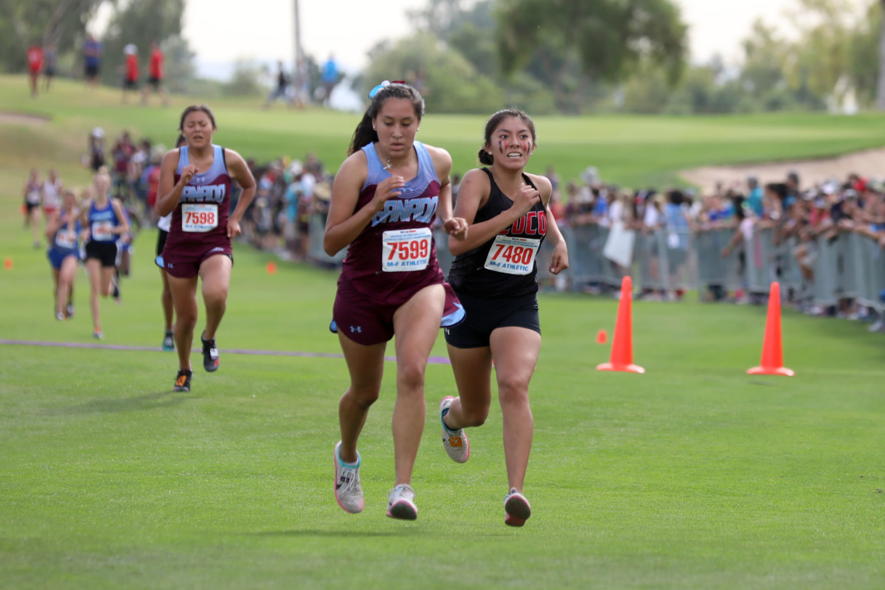 Coconino cross country